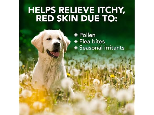 Vet's Best Allergy Itch Relief Dog Shampoo w