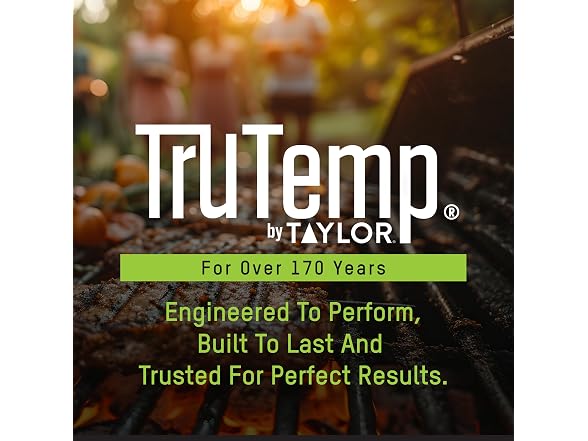 Taylor TruTemp Digital Instant Read Thermometer Meat Probe Gray