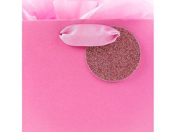 Hallmark Pink 9" Gift Bag w/Tissue Paper