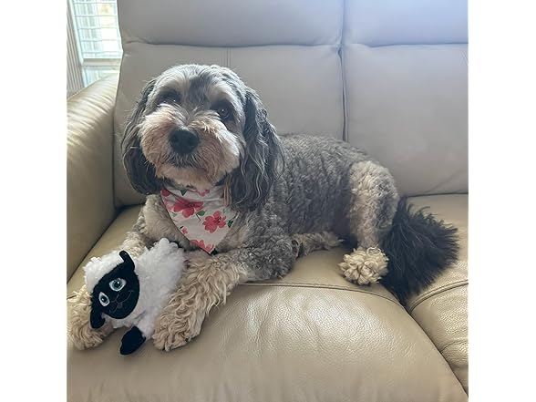 SPOT Baa Baa Black Sheep Plush Dog Toy