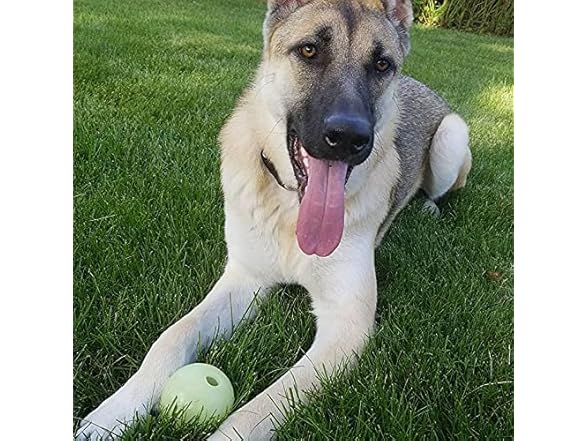 Chew King Glow Fetch Ball 2pk