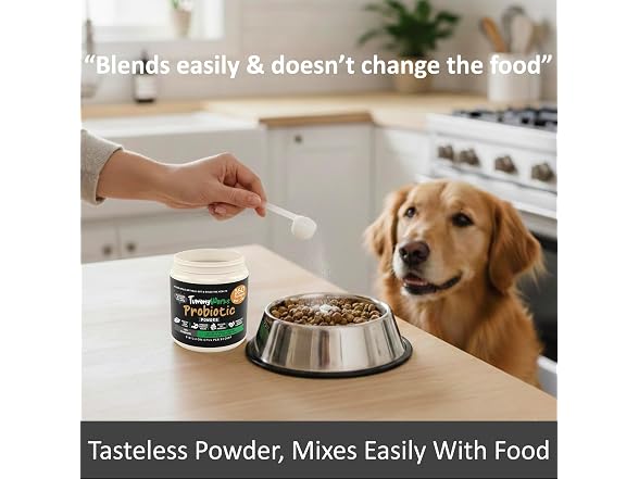 TummyWorks Probiotics for Dogs and Cats.