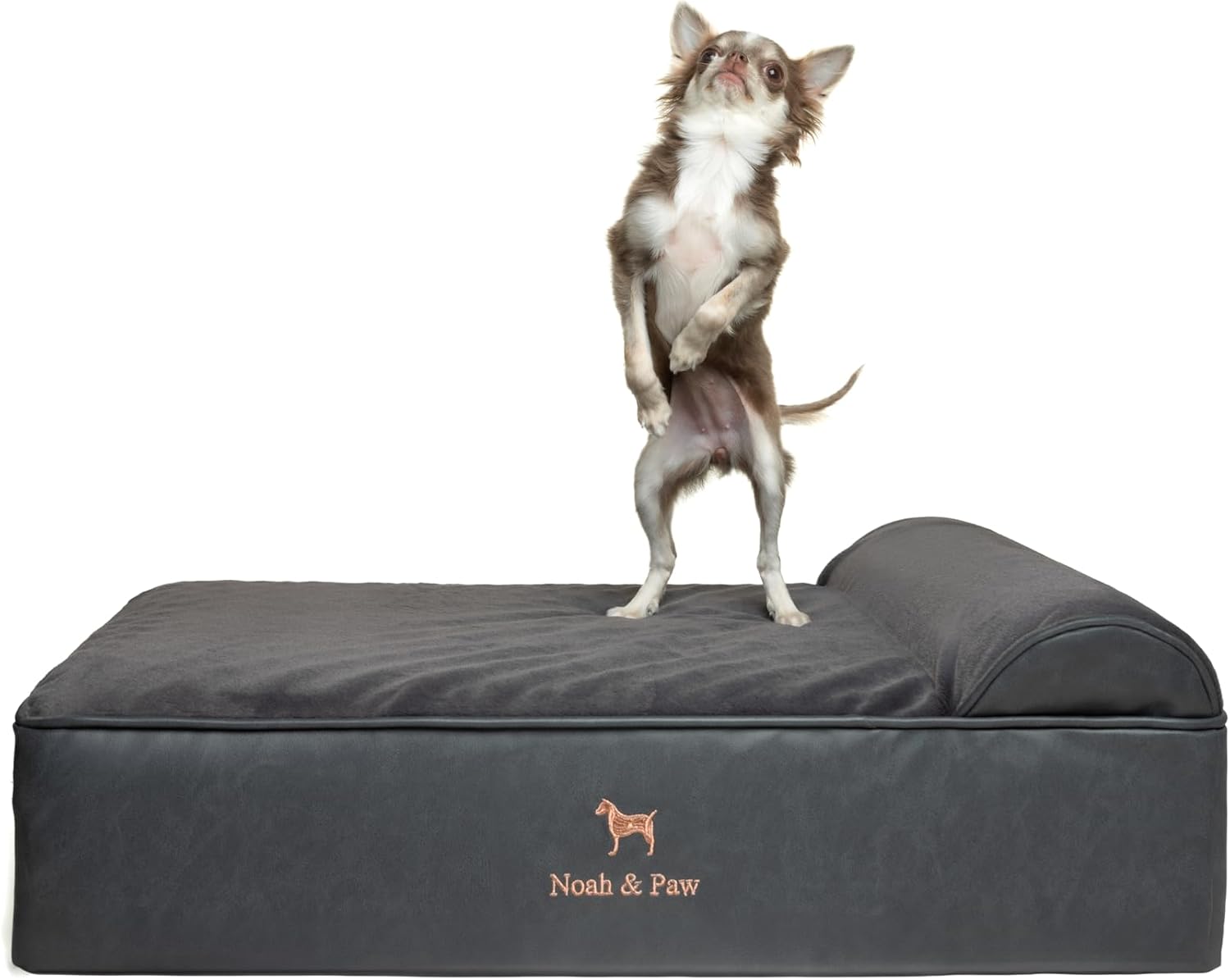 NOAH & PAW Orthopedic Dog Beds- Medium - Gallery 11