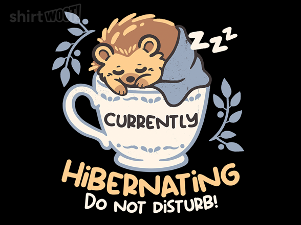 Currently Hibernating Hedgehog - Gallery 2