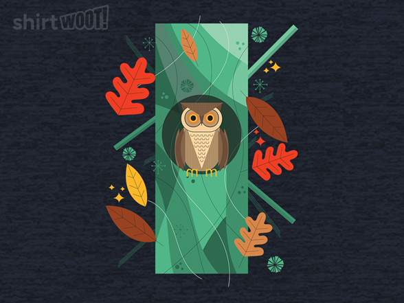 Owl In Autumn