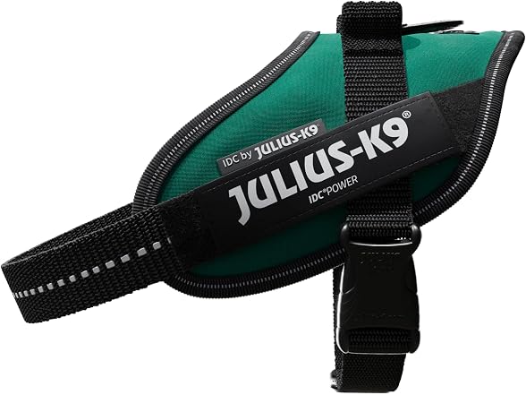 Julius-K9, 16IDC-DG-M, IDC Powerharness, Dog