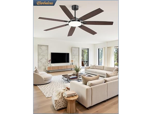 Fanbulous Black 62” Ceiling Fan with Lights