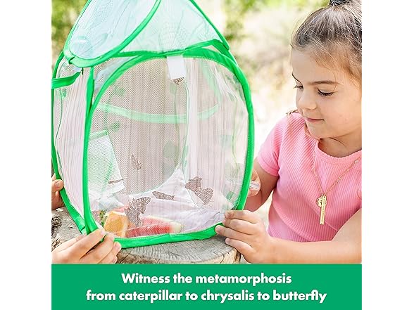 Educational Insights GeoSafari Jr. Butterfly Bungalow