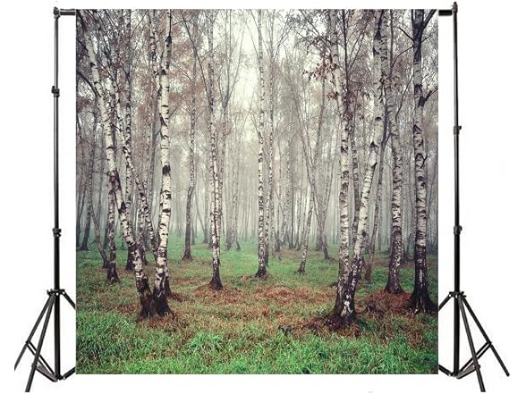 Laeacco 6x6ft Morning Fog Forest Birch