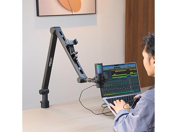 VEVOR Microphone Boom Arm with Desk Mount