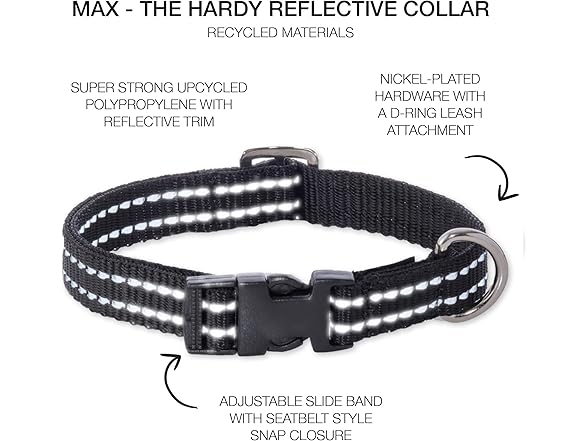 Pet Passion Adjustable Reflective Pet Collar