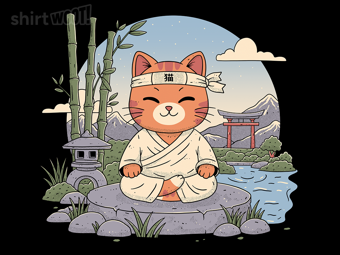 Meditating Cat - Gallery 9