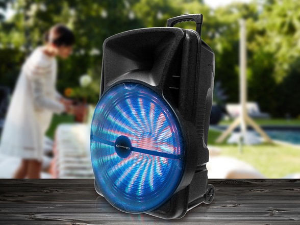 Technical Pro 18" Rechargeable Speaker