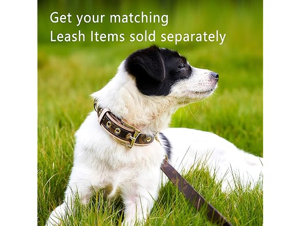 Thankspaw Leather Dog Collar Soft & Durable S