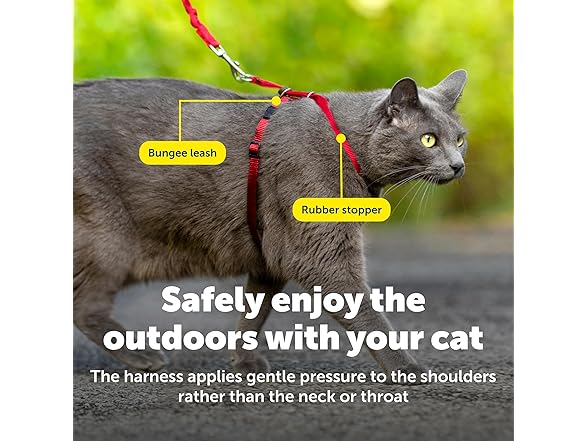 PetSafe Come With Me Kitty Harness and Bungee Leash