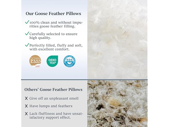 COZSINOOR Goose Down Feather Pillows