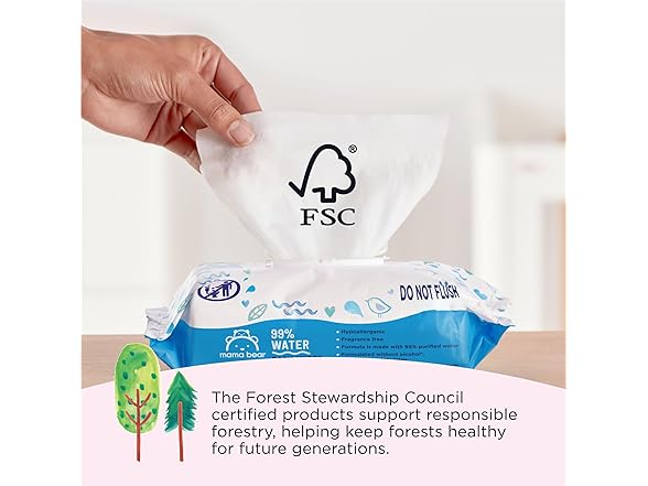 Mama Bear Amazon Brand - Mama Bear 99% Water Baby