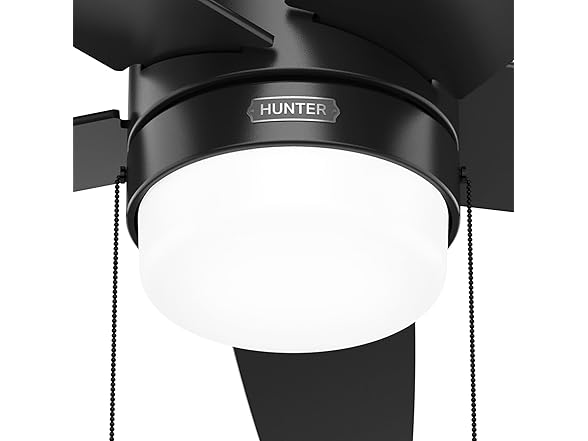 Hunter Fan 44" Matte Black Indoor Ceiling Fan