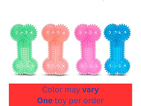 Bow-Wow TPR Spiked Squeaky Dog Toy