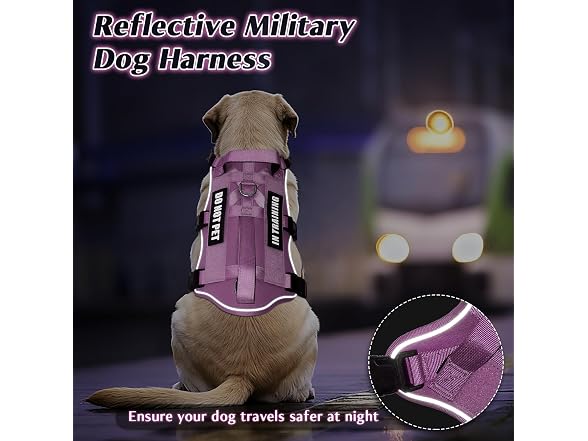 Winsee Escape Proof Service Dog Harness