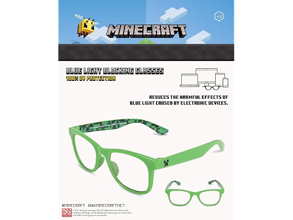 Minecraft Glasses w-Case