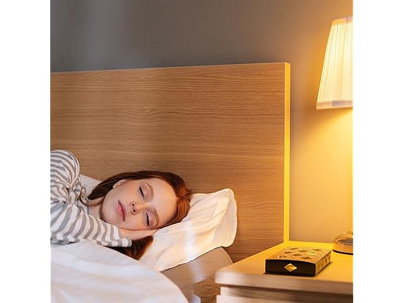 Powerful Moth Traps, 6-Pack