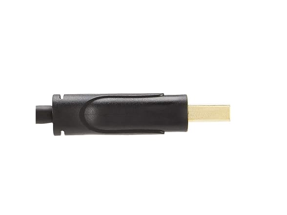 Amazon Basics DisplayPort 1.4 Cable