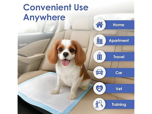 American Kennel Club Scented Puppy Training Pads