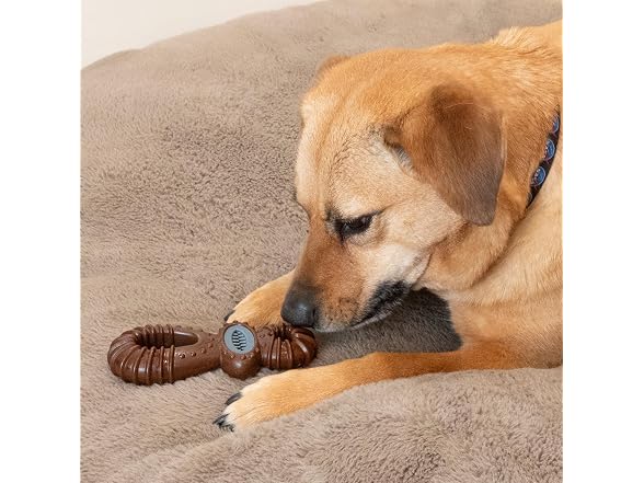 SPOT Bam-Bones Dental Pacifier Dog Chew Toy, Bison