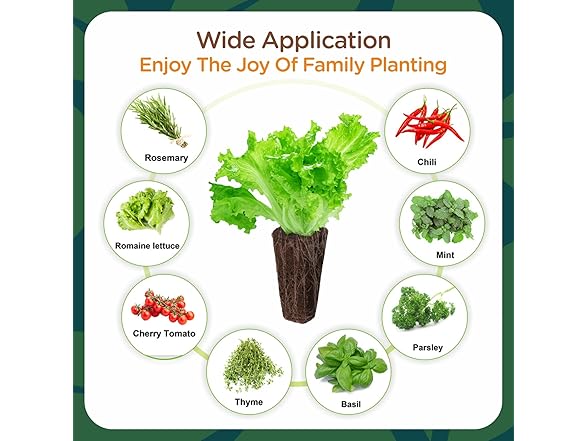 Hapxalie Grow Sponges for Hydroponics