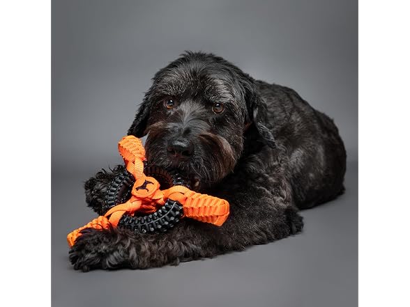 NOAH & PAW Luxury Dog Toy, TPU- Boat Wheel, Black