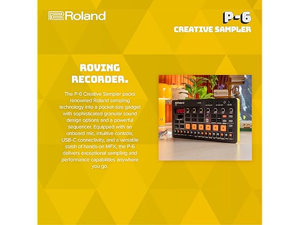 Roland P-6 Sample Tool