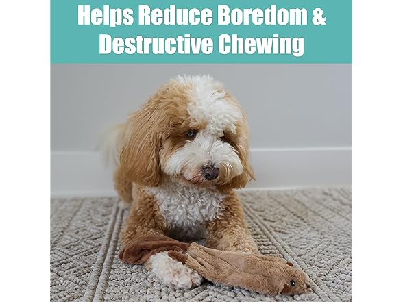 SPOT Skinneeez Beaver Dog Toy