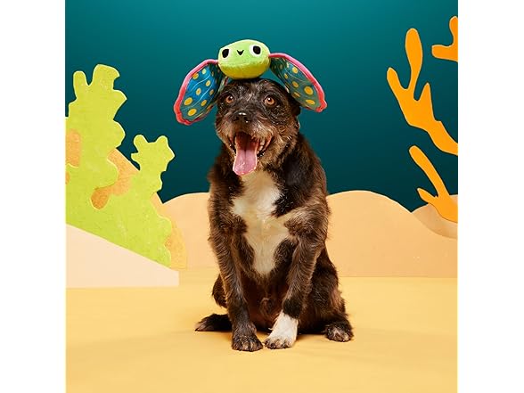 Barkbox Flying Fish Dog Toy | Plush Fish