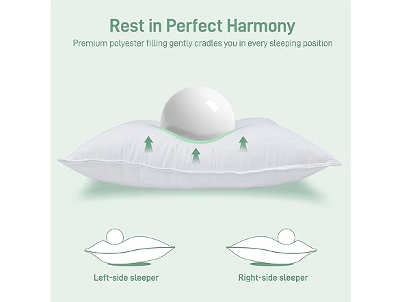 Cotelovo King Size Down Alternative Pillows