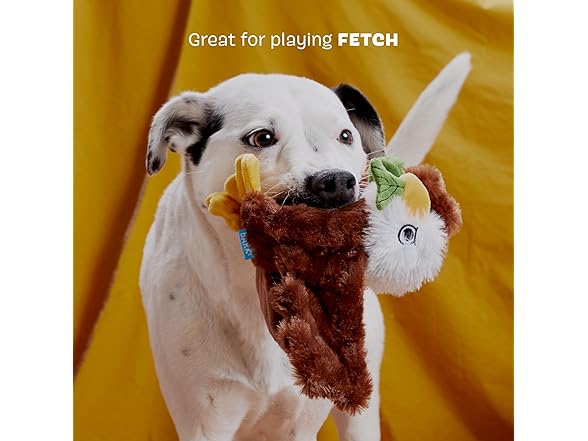 Barkbox Majestic Marty Dog Toy | Plush Eagle Toy
