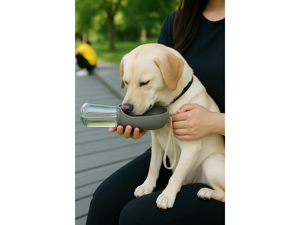 Paws & Claws Pet Travel Water Bottle
