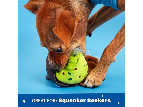 Barkbox Stop Guac and Mole Dog Toy | Plush