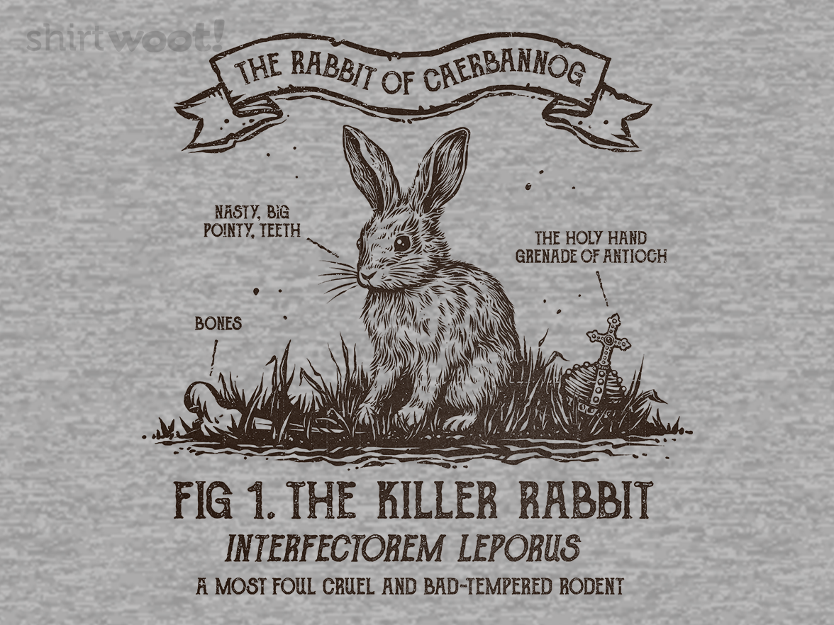 The Rabbit of Caerbannog - Gallery 4