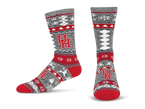 Houston Cougars