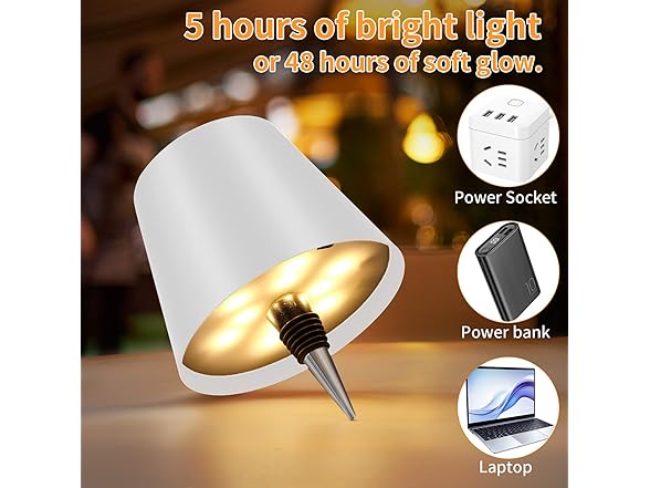 White Shade Wireless Bottle Lamp