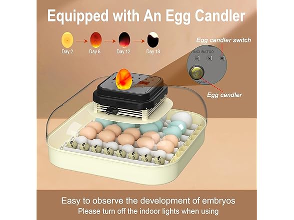 CoInceptus 35 Eggs Incubators