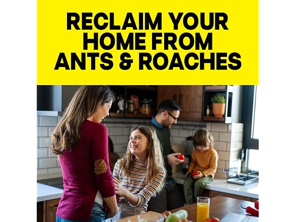Raid GAR-95 Ant & Roach Killer, 2 Count