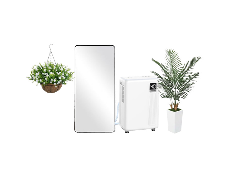 Home Environment and Decor! - Gallery 2