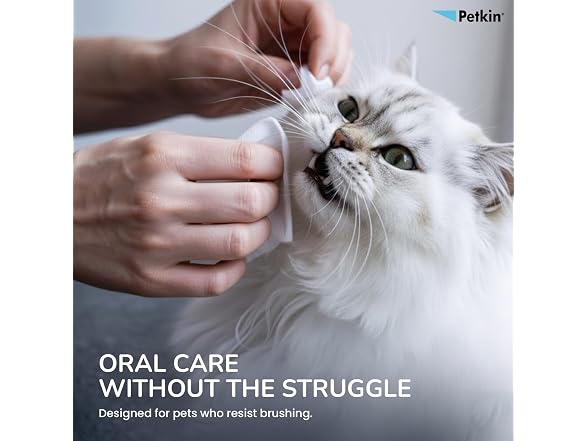 PETKIN Toothwipes Dogs/Ca Size 40ct Toothwip