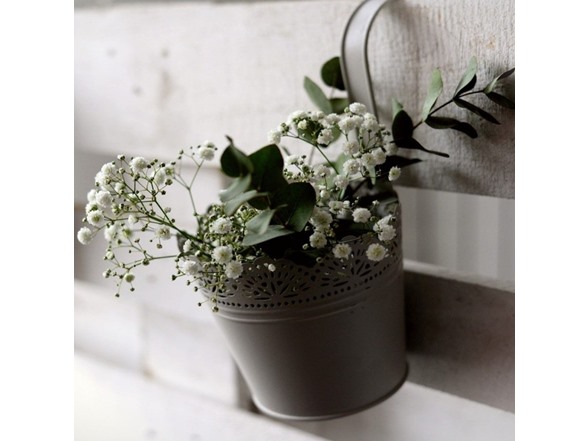 Baby's Breath - 24 Bulbs