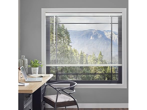 CHICOLOGY Blinds for Windows, Mini Blinds