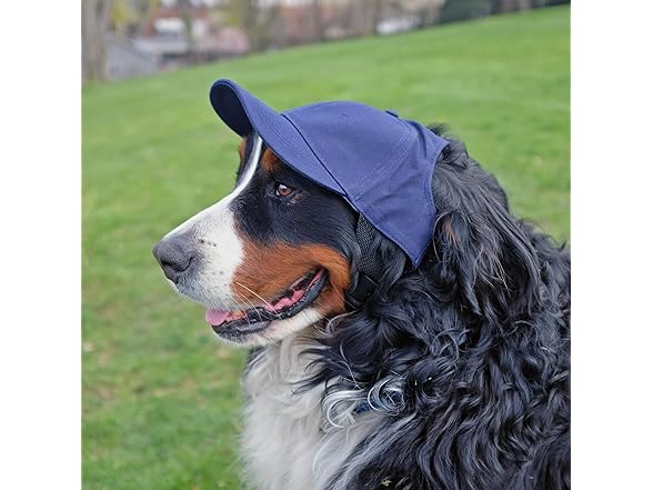 NFL Cowboys Pet Baseball Hat