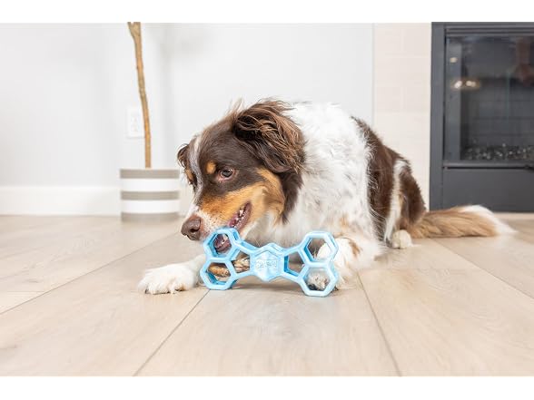 Chuckit! Holee Roller Dog Treat Puzzle Bone, Large