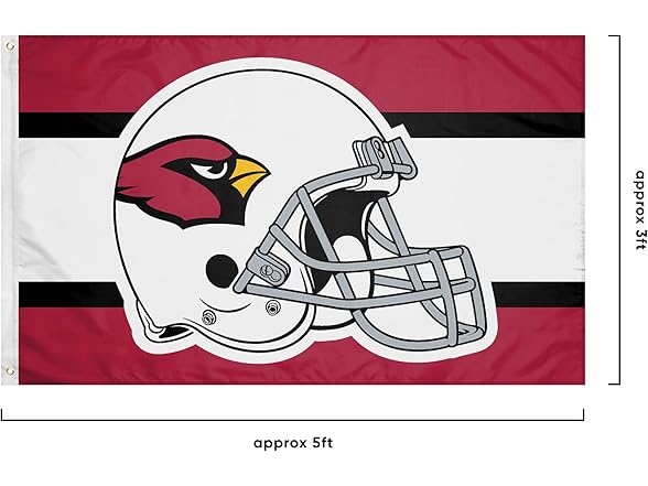 FOCO NFL Helmet Flag